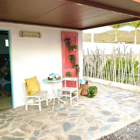 Laurisilva Love Spa Sauna Y Piscina Buzanada エクステリア 写真