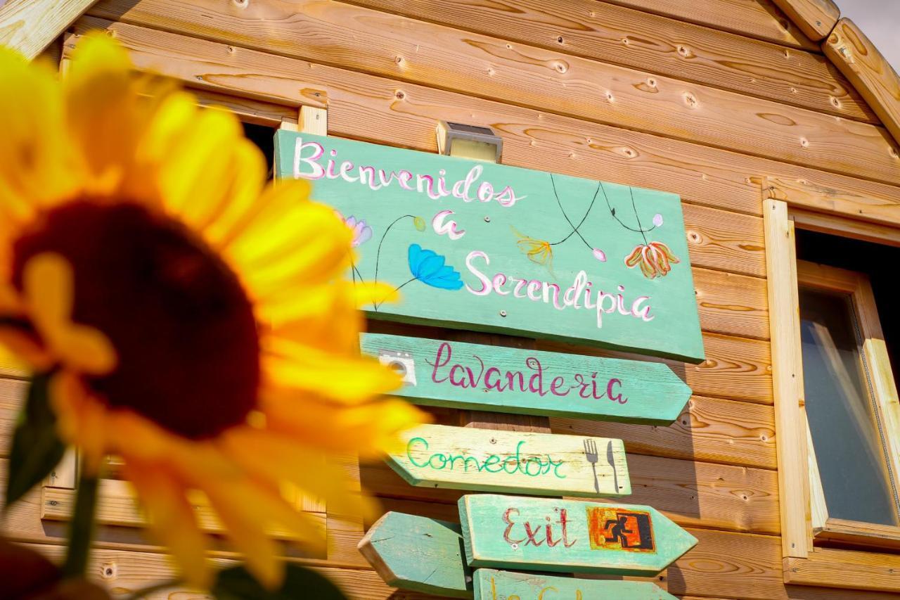 Laurisilva Love Spa Sauna Y Piscina Buzanada エクステリア 写真