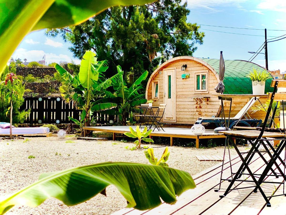 Laurisilva Love Spa Sauna Y Piscina Buzanada エクステリア 写真